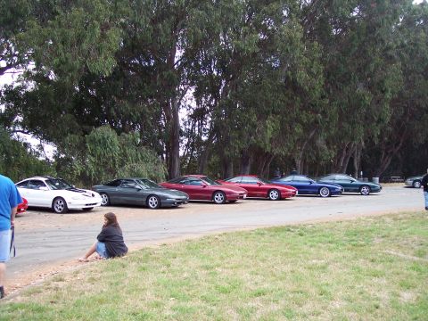 1995 Ford Probe - Several Ford Probe models are parked in a line next to a grassy area with trees in the background.