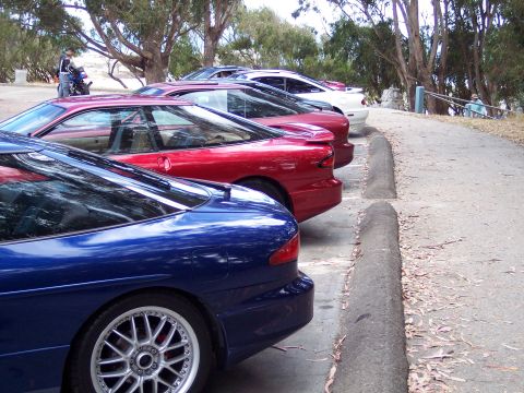 1995 Ford Probe - Several Ford Probe models are parked side-by-side on a paved area near trees.