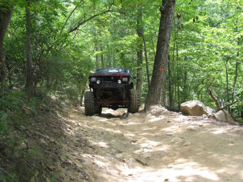 1995 Ford C-350 (Centurion Conversions) - A heavily modified truck navigates a challenging off-road trail surrounded by dense forest foliage.