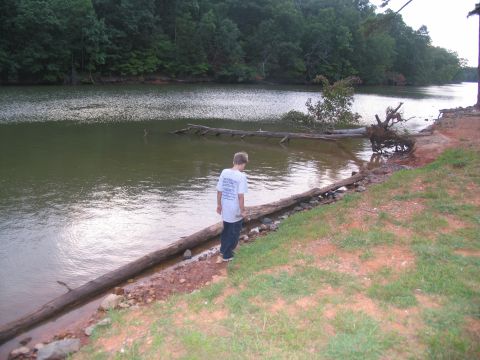 1995 Ford C-350 (Centurion Conversions) - A young boy stands on the shore of a lake, looking out at the water with fallen trees in the background.