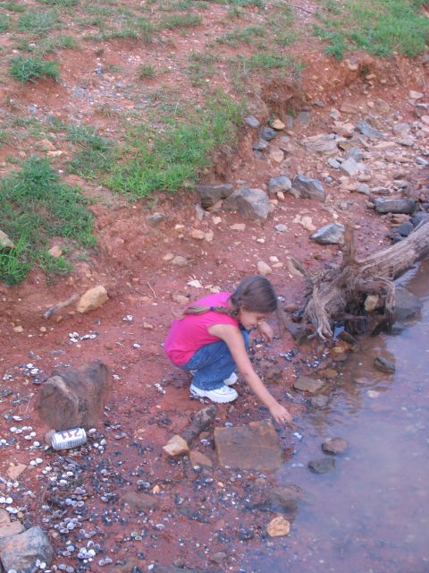 1995 Ford C-350 (Centurion Conversions) - A young girl plays by the water's edge, surrounded by rocks and debris.