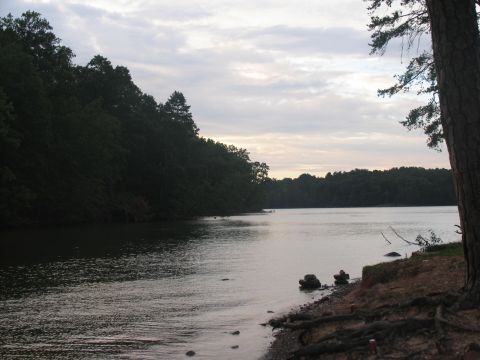 1995 Ford C-350 (Centurion Conversions) - A lake scene with dense trees lining the shore and a cloudy sky overhead, captured during the day.