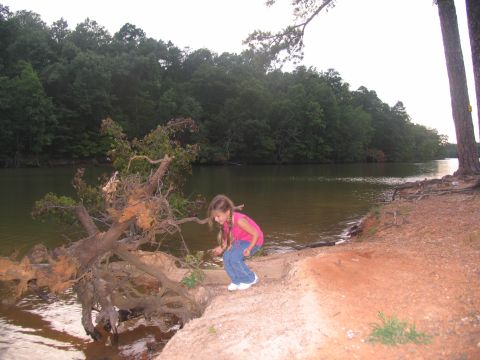 1995 Ford C-350 (Centurion Conversions) - A young girl explores the edge of a lake near a fallen tree on a wooded shoreline.