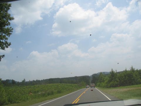 1995 Ford C-350 (Centurion Conversions) - A view from inside a vehicle looking out at a road with another car and a truck ahead.
