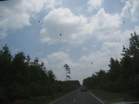1995 Ford C-350 (Centurion Conversions) - A truck travels down a rural highway bordered by trees under a cloudy sky.