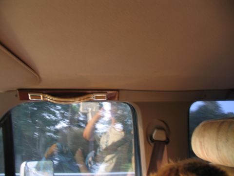 1995 Ford C-350 (Centurion Conversions) - Interior view of a vehicle with a grab handle and seatbelt visible, and a reflection in the window.