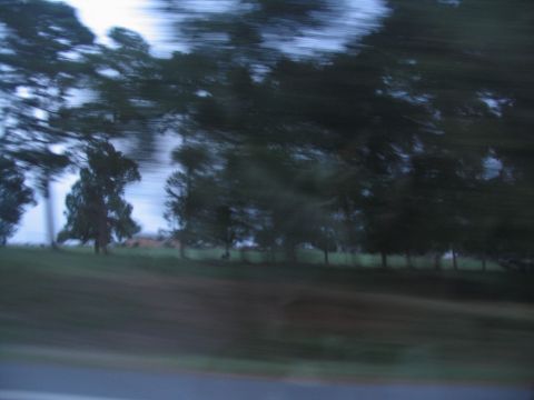 1995 Ford C-350 (Centurion Conversions) - Motion blur obscures the details of a landscape with trees and grass, suggesting a fast-moving viewpoint.