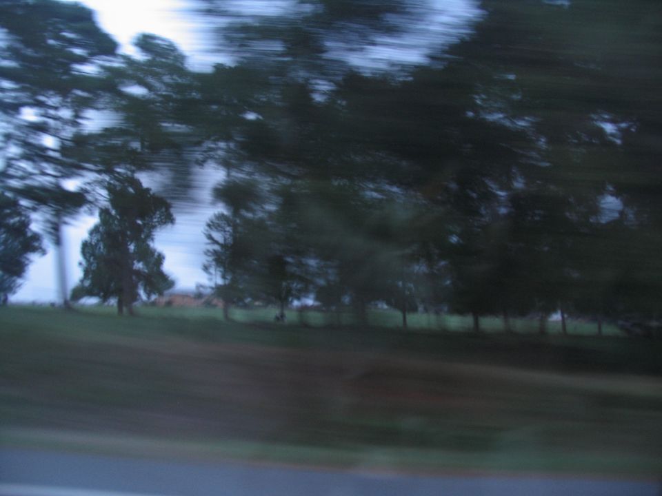 Blurry trees and grass under a cloudy sky, seen from a moving vehicle