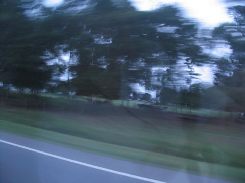 1995 Ford C-350 (Centurion Conversions) - A blurry scene of trees and sky, likely captured from a moving vehicle, obscuring any specific details.