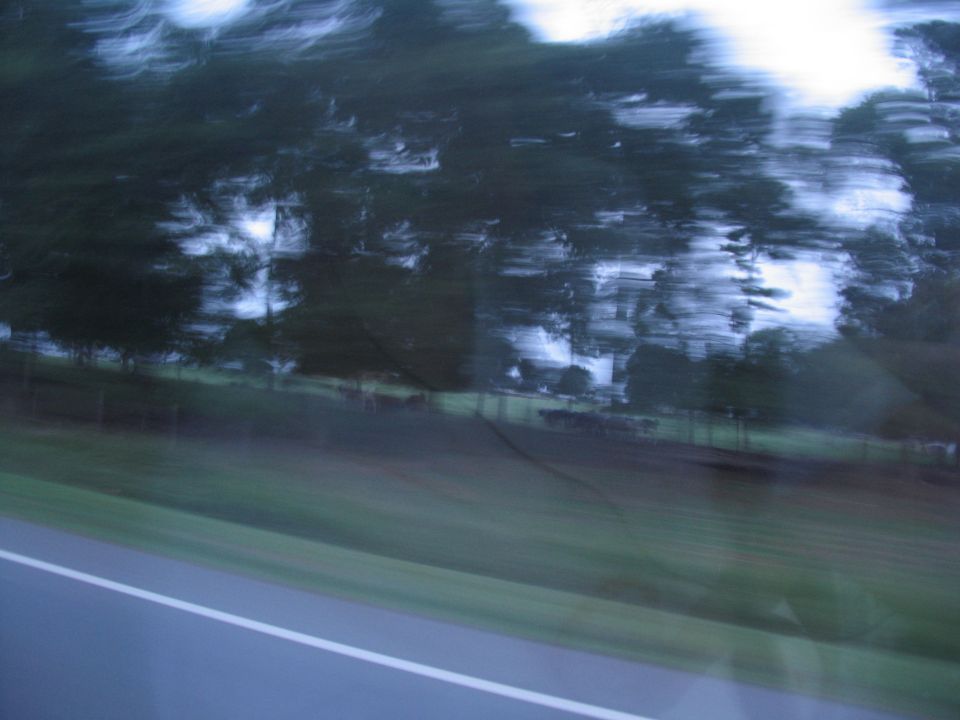 Motion blur of trees and sky seen from a moving vehicle