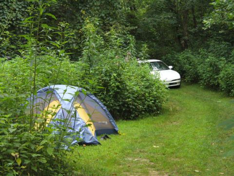 1991 Ford Probe - A white 1991 Ford Probe is parked off a grassy path next to a blue and yellow tent, surrounded by dense foliage.