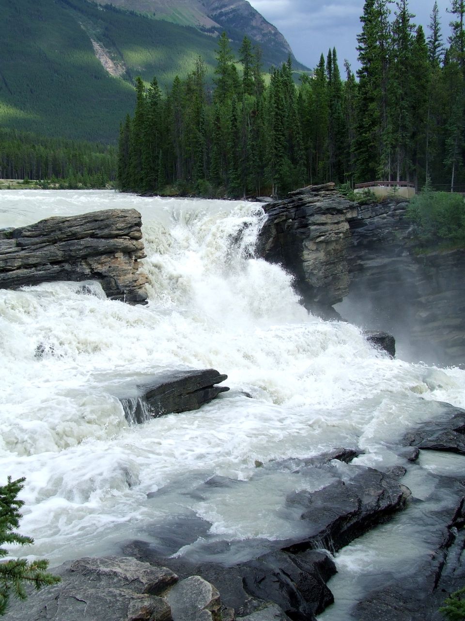 Wide whitewater waterfall over rock ledges with evergreen forest and mountain behind