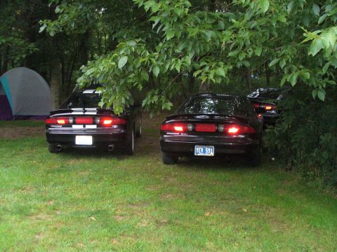 1991 Ford Probe - Three black Ford Probes are parked in a grassy area next to a tent, partially obscured by trees.