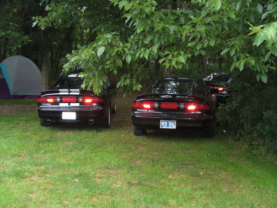 Three black Ford Probes parked in a grassy area with a tent