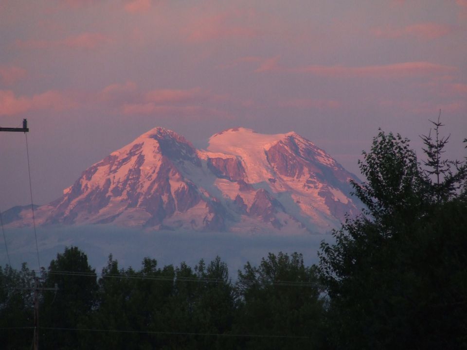 Snow-capped mountains bathed in pink sunset light, with dark trees in the foreground