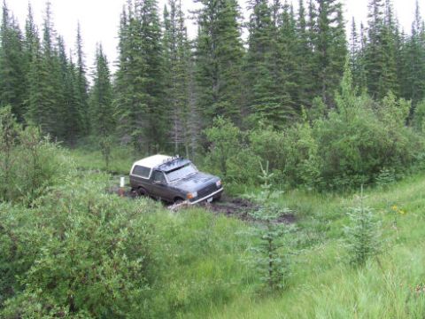 1988 Ford Bronco - Ford Bronco stuck in mud on a wooded trail.