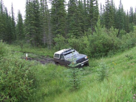 1988 Ford Bronco - A dark green and white full-size Ford Bronco with a roof-mounted light bar sits nose-down in a muddy wallow on a grassy trail surrounded by…