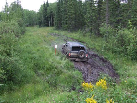 1988 Ford Bronco - Elevated view of a dark grey SUV with a rear-mounted spare tire working through a deep muddy rut on a grassy two-track trail cut through sp…