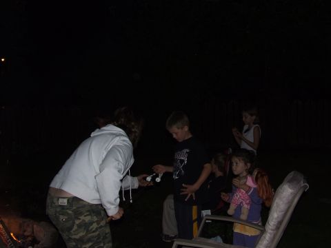1988 Ford Bronco - People are gathered around a campfire at night, some holding marshmallows.