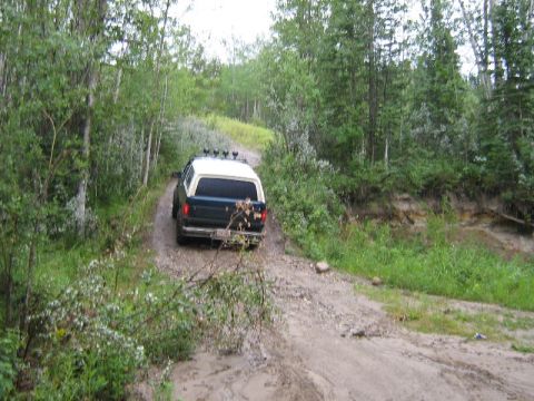 1995 Ford Bronco - A Ford Bronco navigates a muddy, wooded trail.