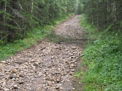 1995 Ford Bronco - A rough forest road is blocked by a fallen branch and strewn with rocks, leading into dense woods.