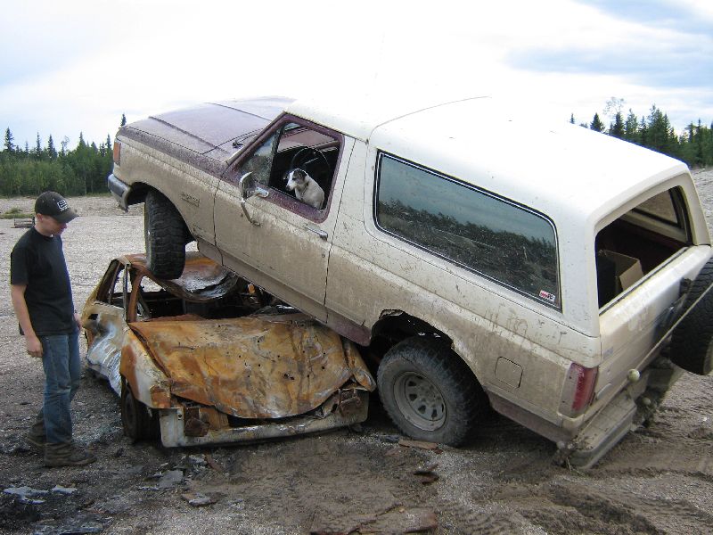 White and brown Ford Bronco on top of a rusted, wrecked car, with a dog in the driver's seat