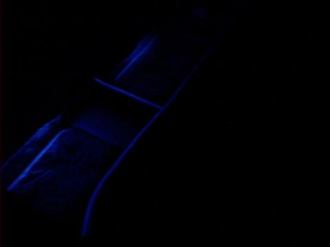 1993 Ford Taurus photo