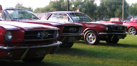 1994 Ford Bronco - Multiple classic Ford Mustangs are displayed on a grassy field at an outdoor event.