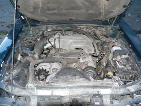 1993 Mercury Grand Marquis - Bone stock 5.0. Completely un-molested....even the air silencer is in the fender!