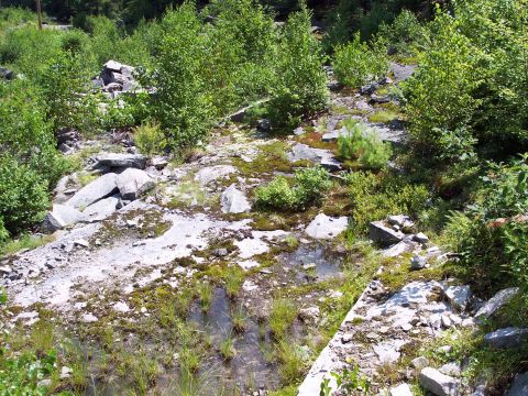2001 Ford Crown Victoria - A natural scene of a rocky area with vegetation and standing water.