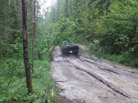 1990 Ford Bronco - A black pickup truck navigates a challenging muddy path in a dense forest.