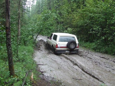 1990 Ford Bronco - A white Ford Bronco navigates a deeply rutted and muddy forest road, kicking up spray as it goes.