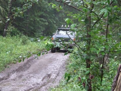 1990 Ford Bronco - A 1990 Ford Bronco navigates a wet and muddy path through a dense forest.