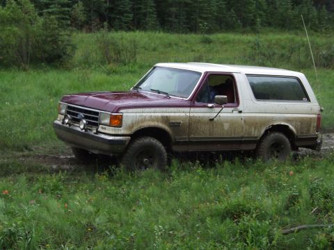 1990 Ford Bronco - A two-tone 1990 Ford Bronco navigates a muddy, grassy area.