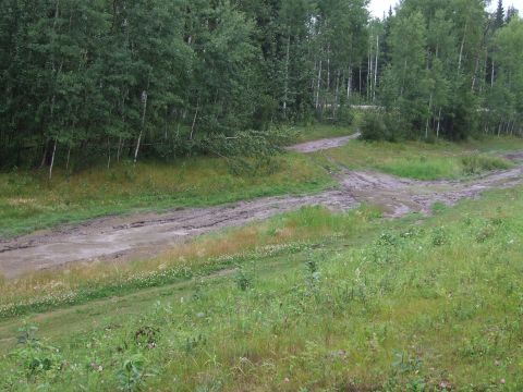 1990 Ford Bronco - A muddy, rutted dirt road winds through a grassy area with trees in the background.