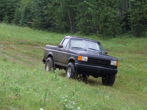 1990 Ford Bronco - This black pickup truck, likely from the 1990s, navigates a grassy, wooded terrain.