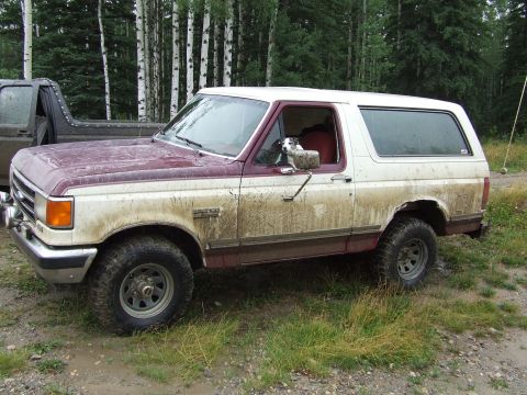 1990 Ford Bronco - A muddy Ford Bronco is parked next to another vehicle in a wooded area.