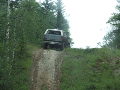 1990 Ford Bronco - A dark blue SUV with a white top navigates a steep dirt incline surrounded by lush green foliage.