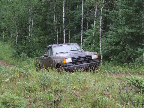1990 Ford Bronco - Mud-covered Ford Ranger pickup truck sits on a forest trail.