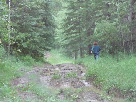 1990 Ford Bronco - A person walks down a wet, muddy path through a dense forest.