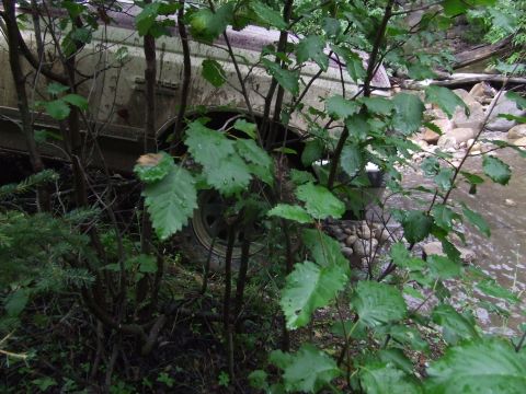 1990 Ford Bronco - A white SUV is seen off-road, partially obscured by dense green foliage and branches, with a stream visible in the background.
