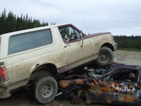 1990 Ford Bronco - A dog sits in the driver's seat of a dirty Ford Bronco perched precariously atop a heavily damaged car.