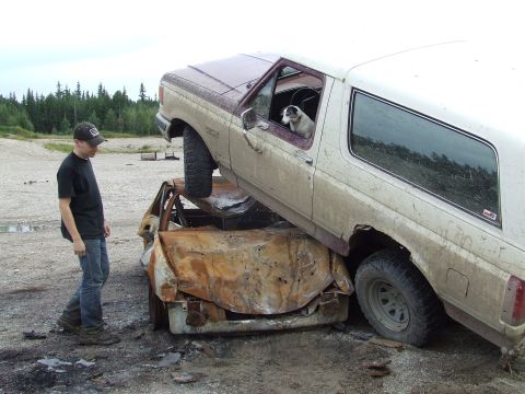 1990 Ford Bronco - 1990 Ford Bronco sits atop a wrecked car, with a dog in the driver's seat.