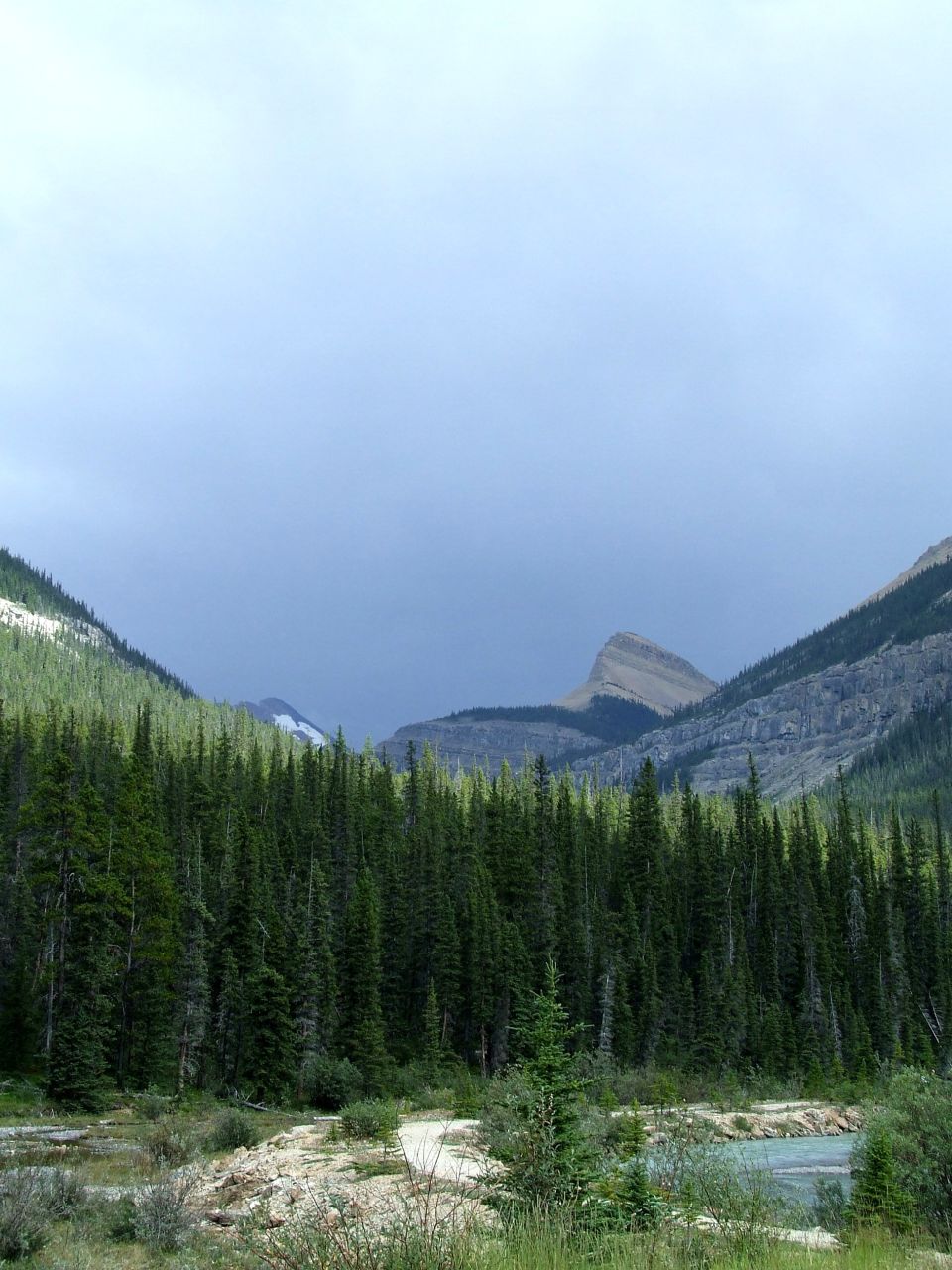 Storm clouds over a pine-forested mountain valley with a glacial river