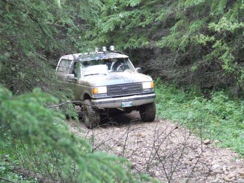 1990 Ford Bronco - 1990 Ford Bronco navigating a forest trail with off-road tires and roof lights.