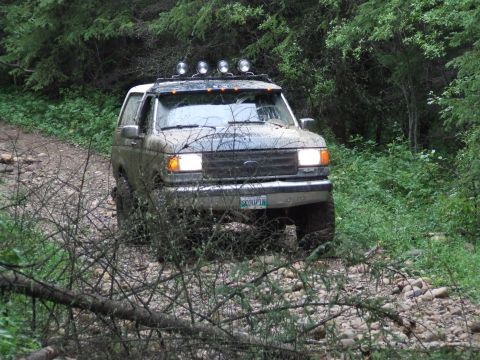 1990 Ford Bronco - This 1990 Ford Bronco navigates a rough, overgrown path, its headlights cutting through the dim forest light.