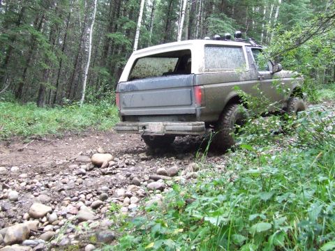 1990 Ford Bronco - Ford Bronco navigating a rough, rocky path through a dense forest.