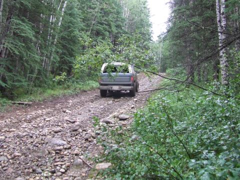 1990 Ford Bronco - A Ford Bronco navigates a rough, unpaved road through a dense forest.