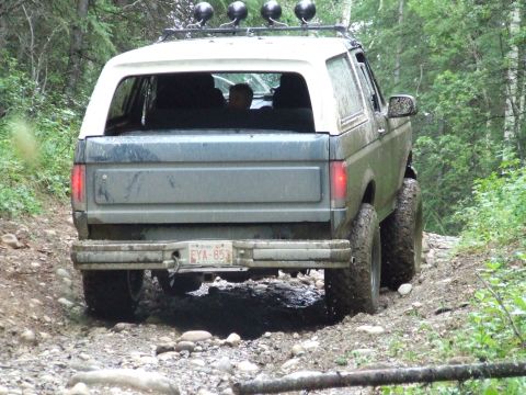 1990 Ford Bronco - A Ford Bronco navigates a challenging, wooded off-road path.