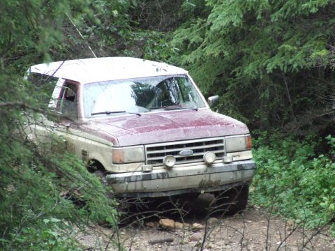 1990 Ford Bronco - 1990 Ford Bronco navigating a wooded off-road path.